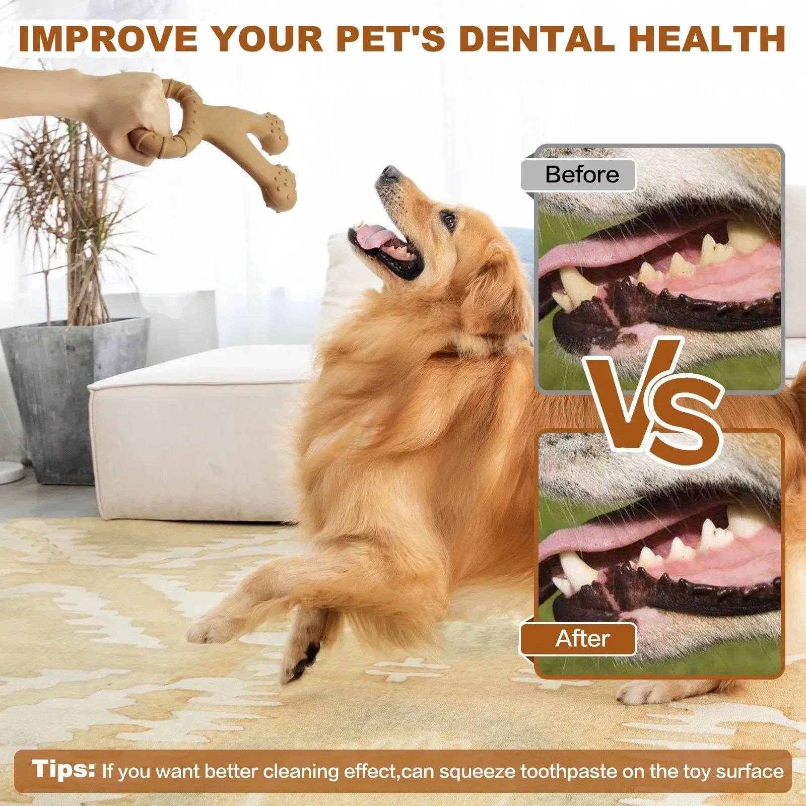 Dog Interactive Chewing Molar - Bellarte Enchanté Dog Interactive Chewing Molar